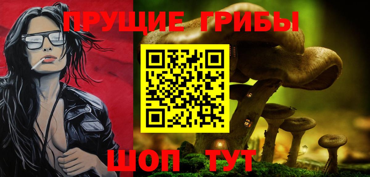 Псилоцибиновые грибы мицелий  Галлюциногенные грибы Psilocybine cubensis  Вход с VPN  Тольятти 