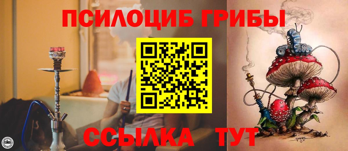 Псилоцибиновые грибы Psilocybe Тольятти
